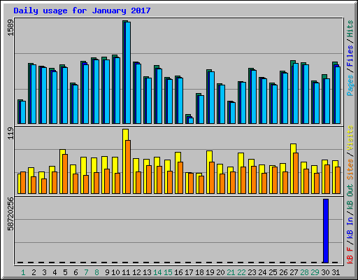 Daily usage for January 2017
