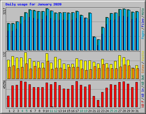 Daily usage for January 2020
