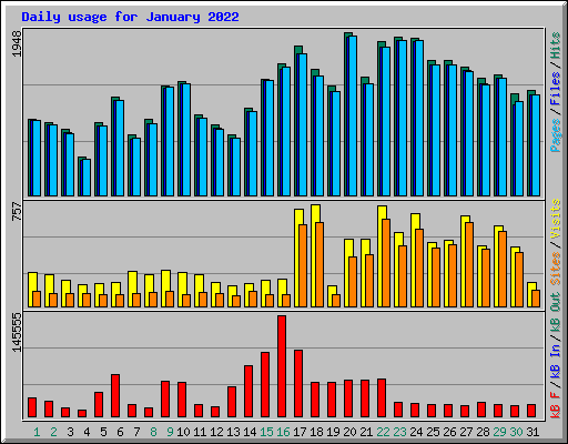 Daily usage for January 2022