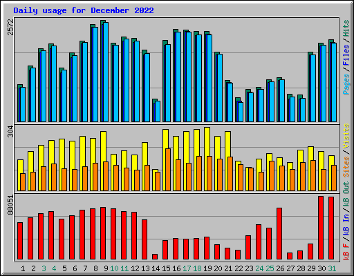 Daily usage for December 2022