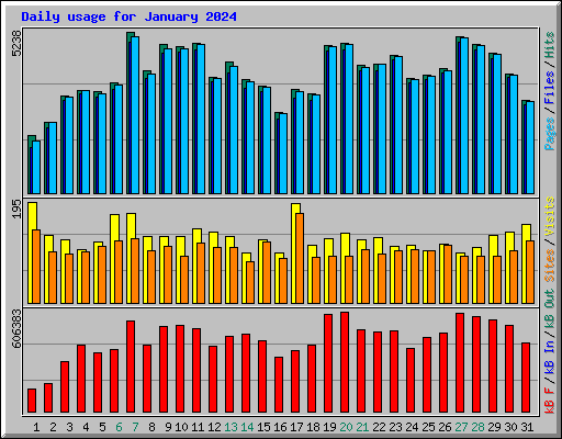 Daily usage for January 2024