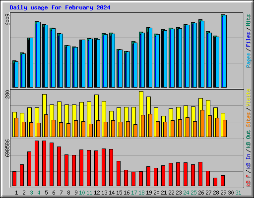 Daily usage for February 2024