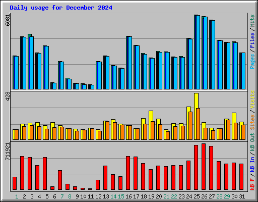 Daily usage for December 2024