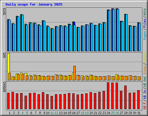 Daily usage for January 2025