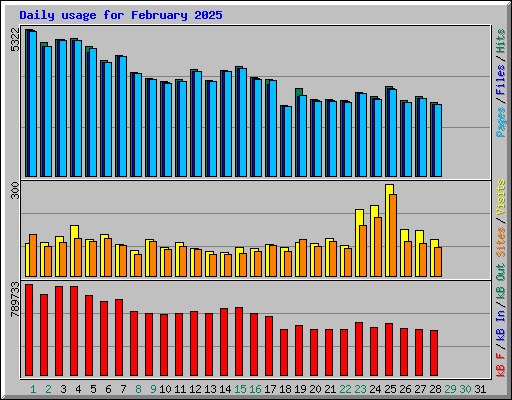 Daily usage for February 2025