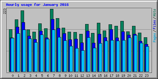 Hourly usage for January 2016