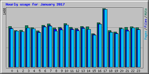 Hourly usage for January 2017