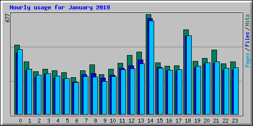 Hourly usage for January 2019