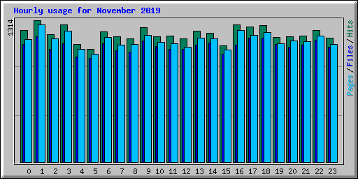 Hourly usage for November 2019