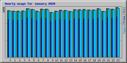 Hourly usage for January 2020
