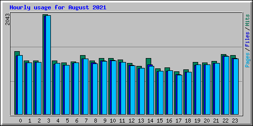 Hourly usage for August 2021