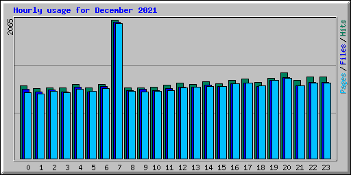 Hourly usage for December 2021