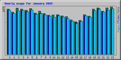 Hourly usage for January 2022