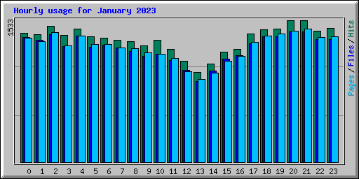 Hourly usage for January 2023