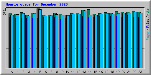 Hourly usage for December 2023