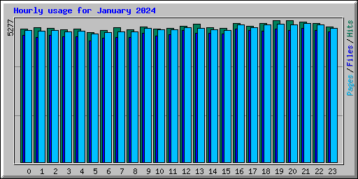 Hourly usage for January 2024