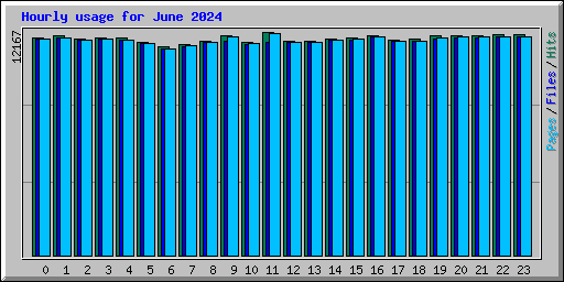 Hourly usage for June 2024