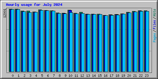 Hourly usage for July 2024