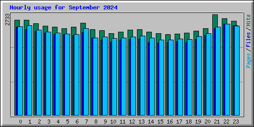 Hourly usage for September 2024