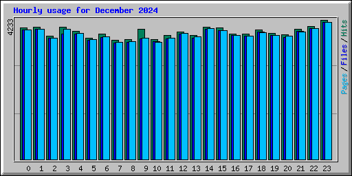 Hourly usage for December 2024
