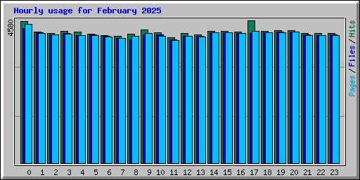 Hourly usage for February 2025