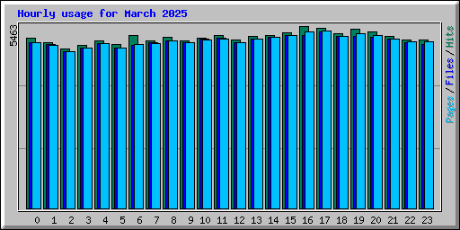 Hourly usage for March 2025